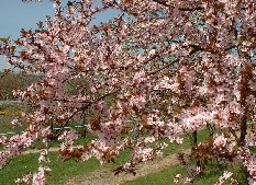 Wiosna 2003